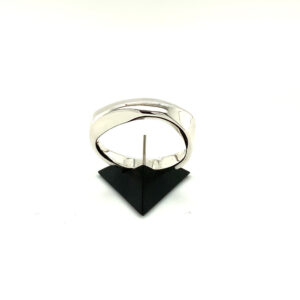 Curves of Light Ring